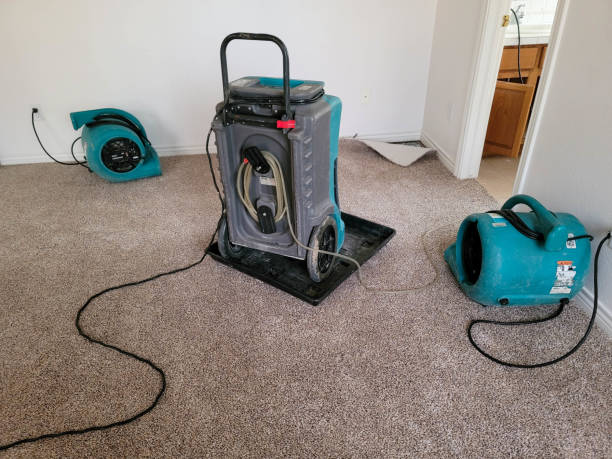 Best Water damage restoration near me  in Carlisle, OH