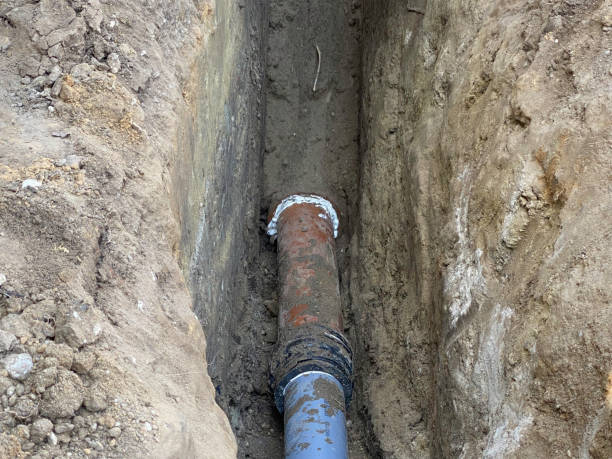 Best Flood damage cleanup  in Carlisle, OH