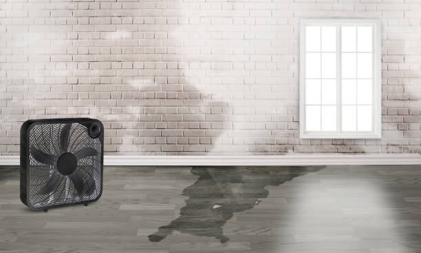Fire Damage Restoration in Carlisle, OH
