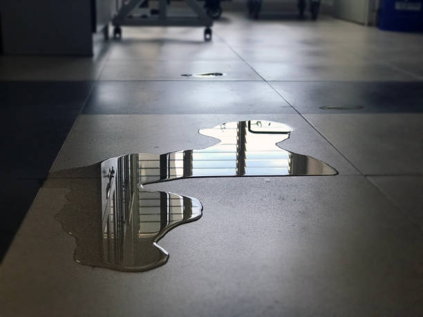 Best Local water damage restoration  in Carlisle, OH
