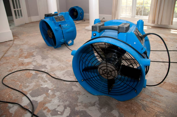 Best Professional water damage repair  in Carlisle, OH