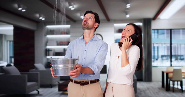 Best Sewage cleanup and water damage restoration  in Carlisle, OH
